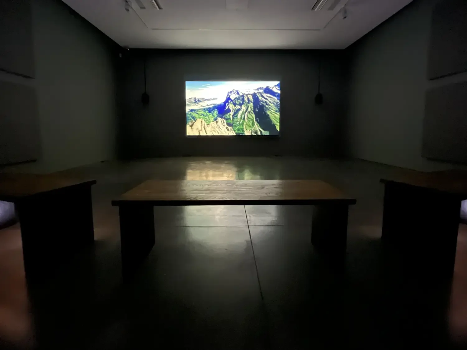 Sasha Huber installation at Autograph