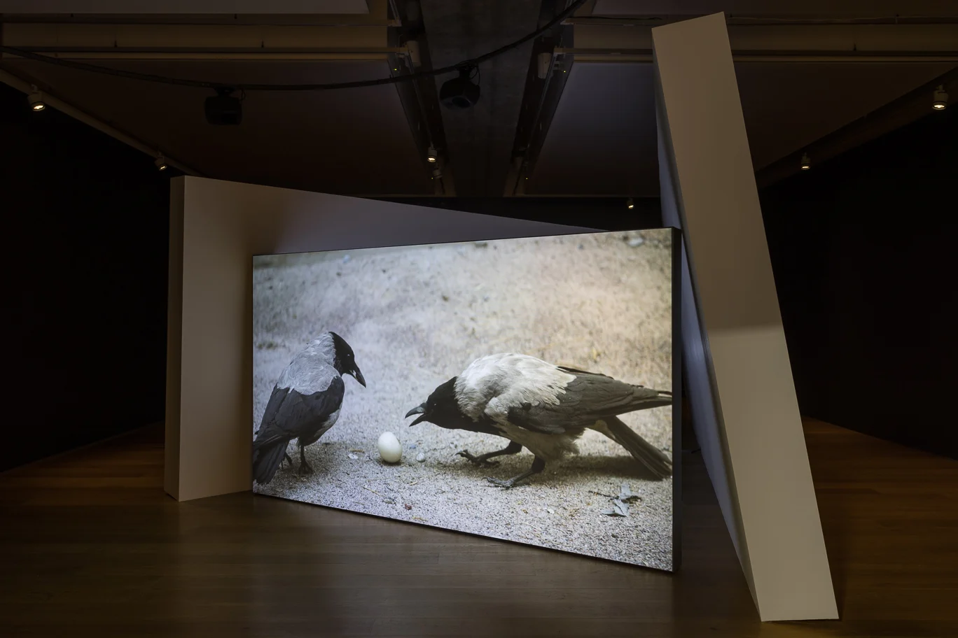 Towner gerard byrne 1