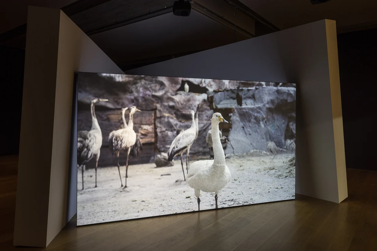 Towner gerard byrne 2