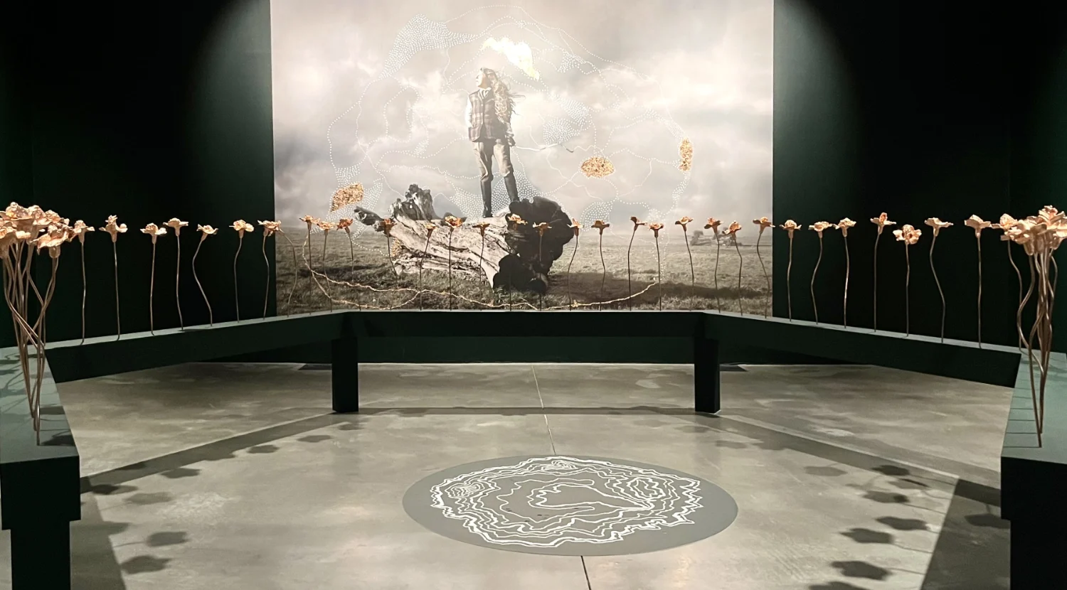 Alcazar Duarte installation view