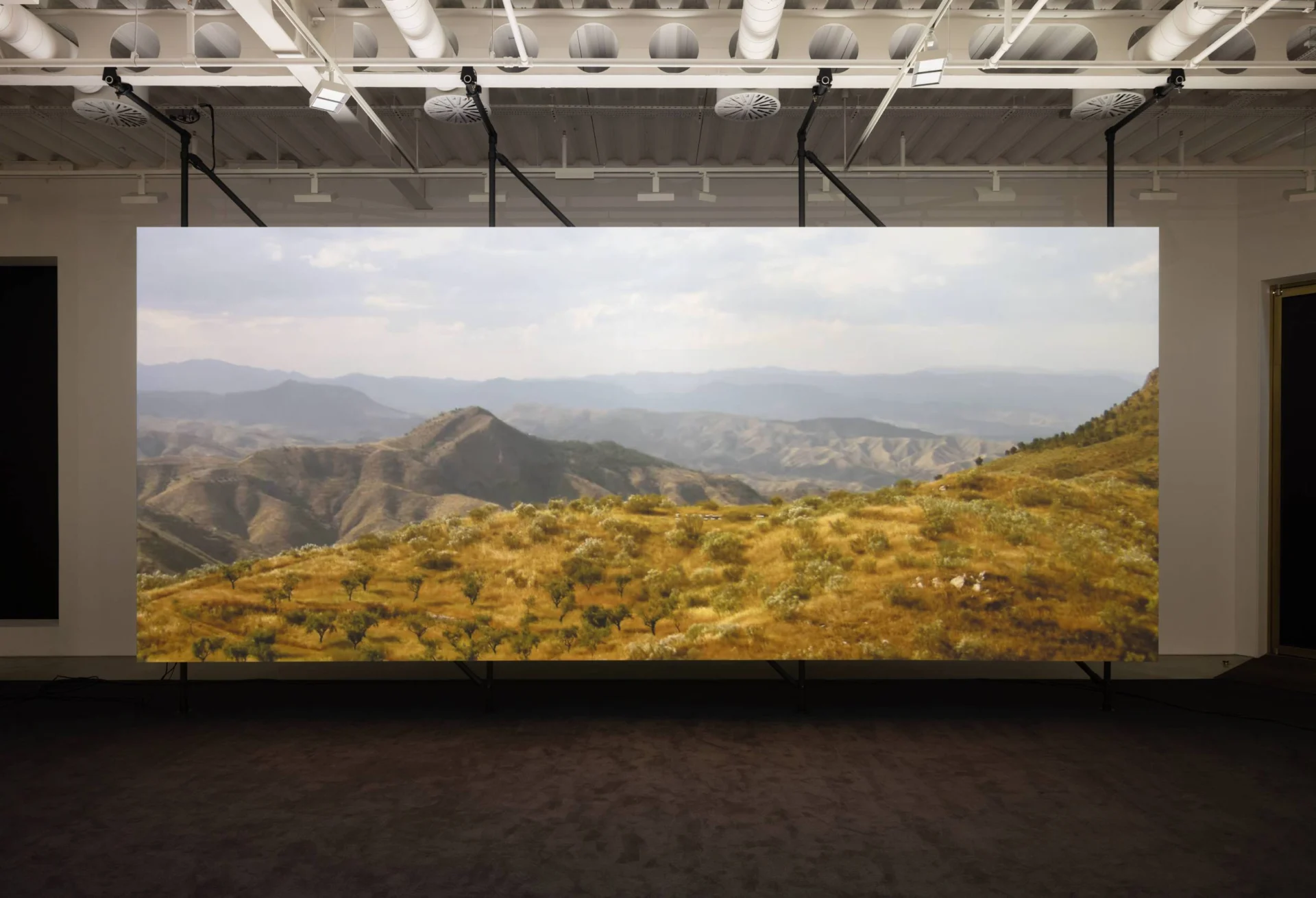 El almendral 07 web (1)