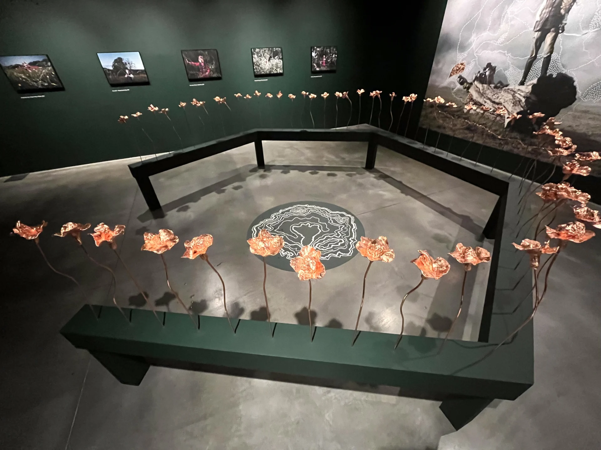 Alcazar Duarte installation view