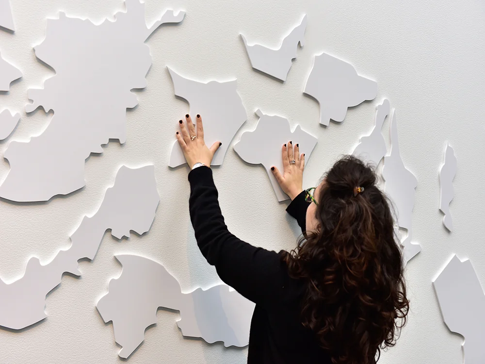 Toucan magnetic wall 3